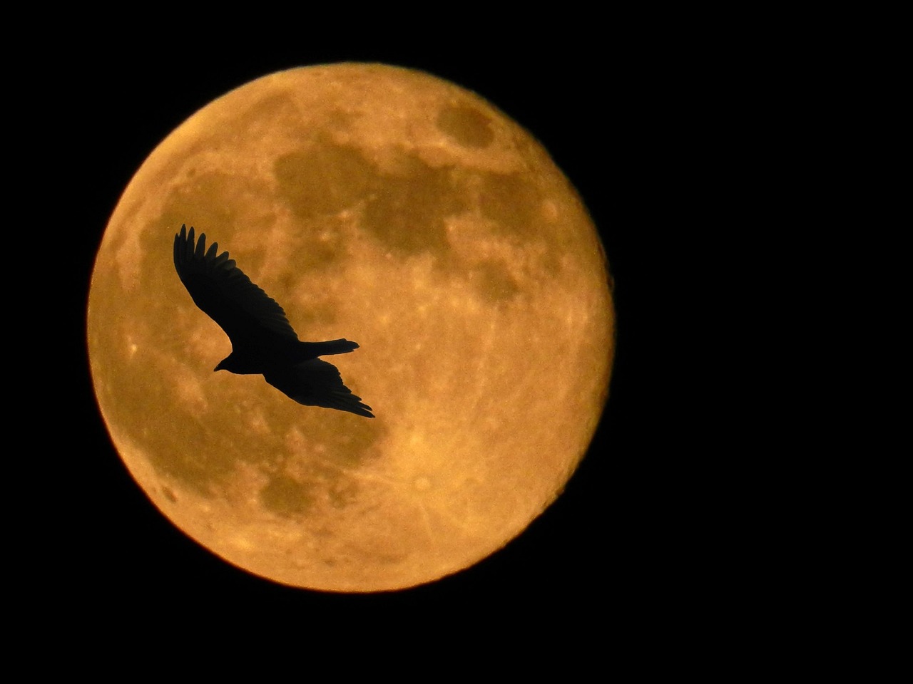Superluna roz, cea mai mare și mai strălucitoare Lună Plină din an, nu este chiar roz | DeStiut.ro