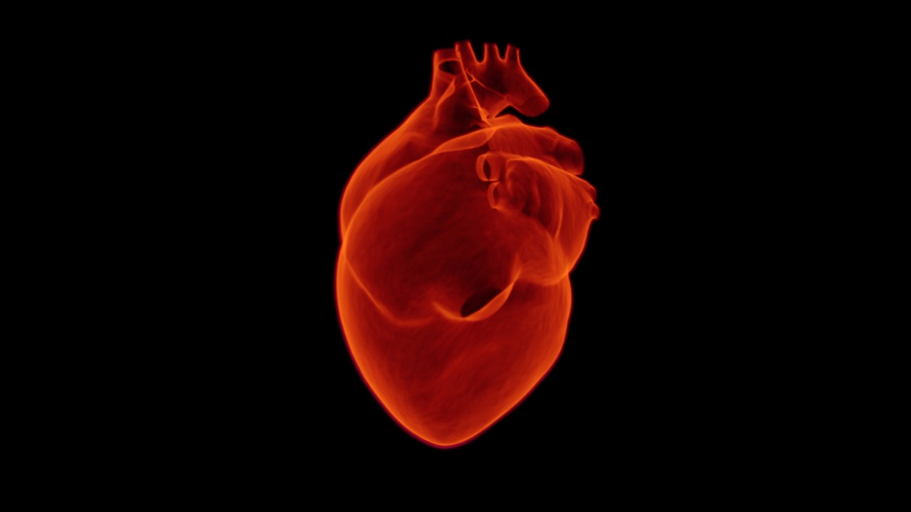 Un test genetic ar putea prezice într-o zi riscul de atac de cord